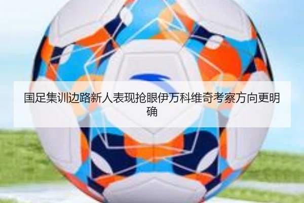 国足集训边路新人表现抢眼伊万科维奇考察方向更明确